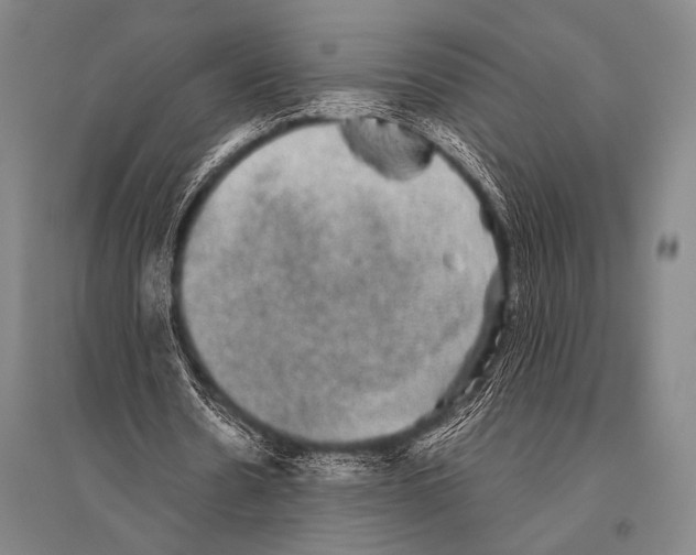 X0000094820530200712141647