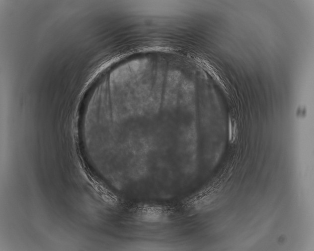 X0000094820531200712141647