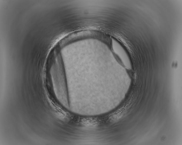 X0000094820532200712141647