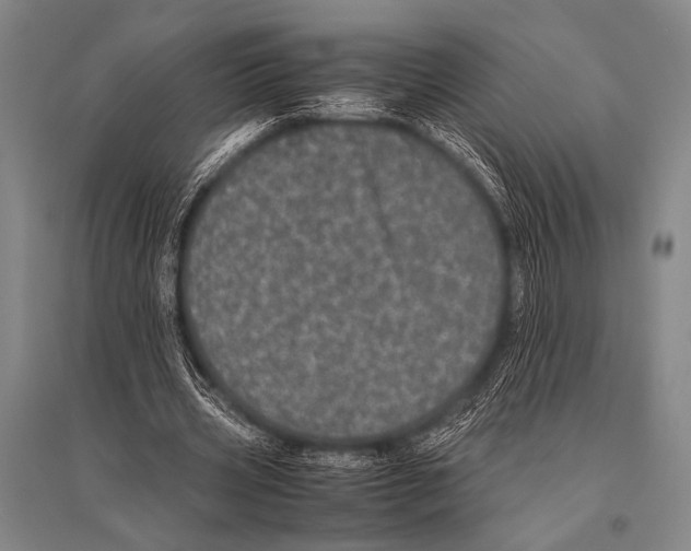 X0000094820533200712141647