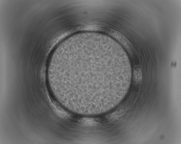 X0000094820534200712141647