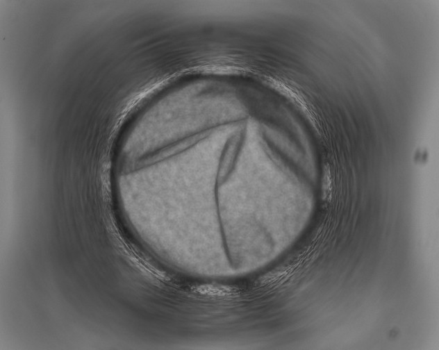 X0000094820535200712141647