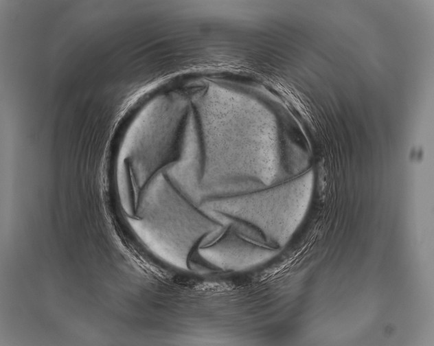 X0000094820536200712141647