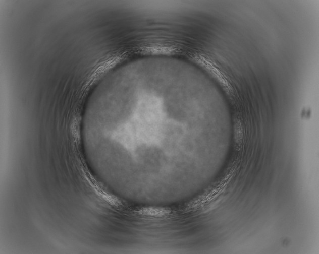 X0000094820537200712141647