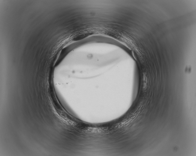 X0000094820538200712141647