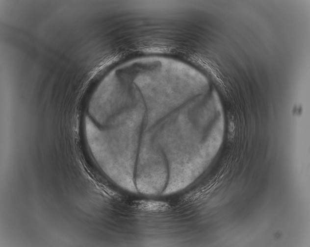 X0000094820539200712141647