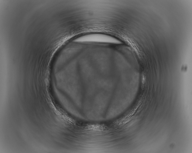 X0000094820540200712141647