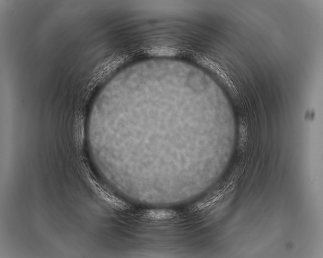 X0000094820541200712141647