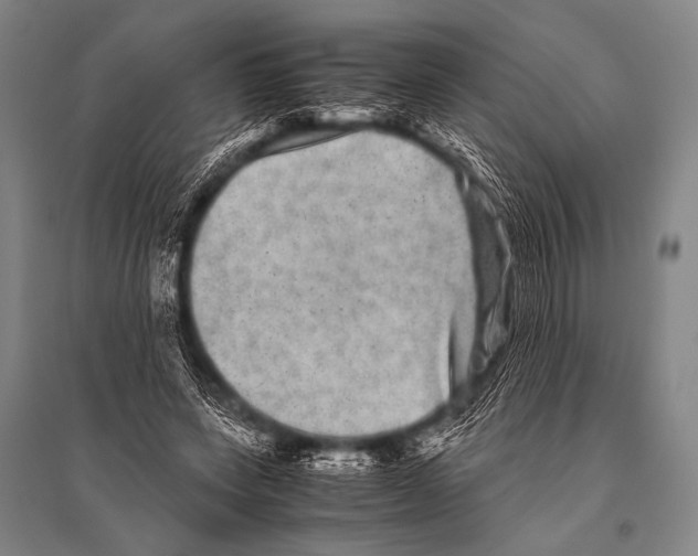 X0000094820543200712141647