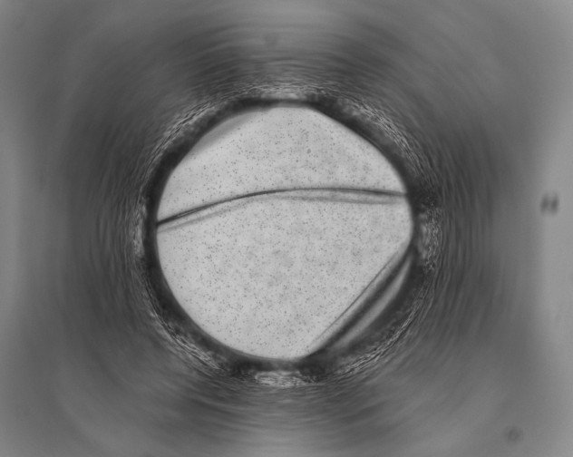 X0000094820544200712141647