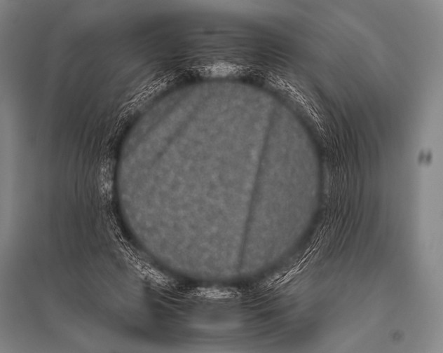 X0000094820545200712141647