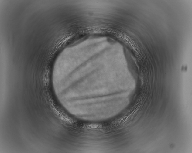 X0000094820546200712141647