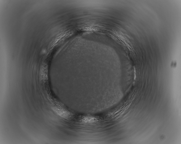 X0000094820547200712141647