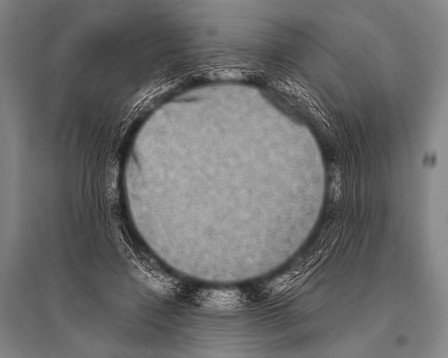 X0000094820548200712141647