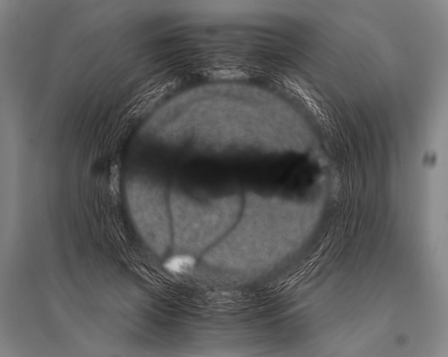 X0000094820549200712141647