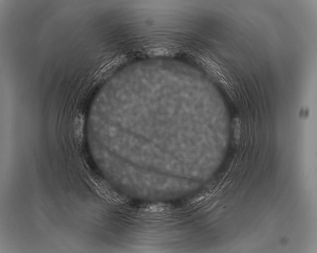 X0000094820550200712141647