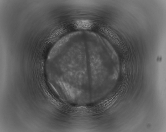 X0000094820551200712141647