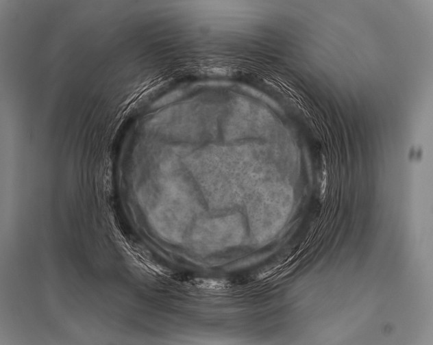 X0000094820552200712141647