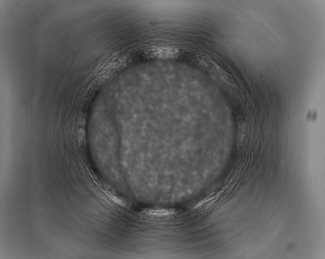 X0000094820553200712141647