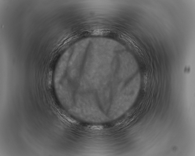 X0000094820554200712141647