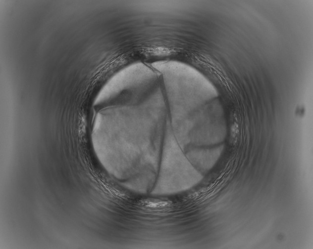 X0000094820555200712141647