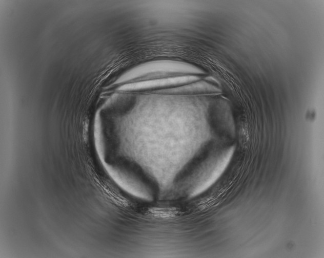 X0000094820556200712141647