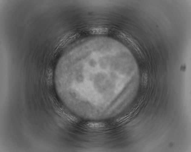 X0000094820557200712141647