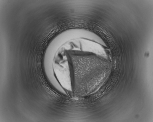 X0000094820558200712141647