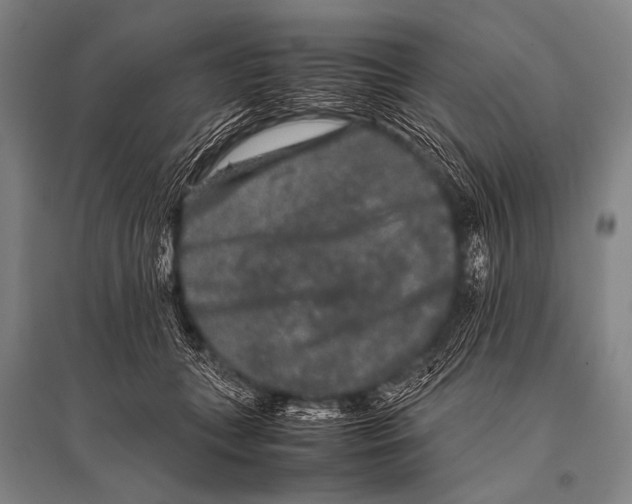 X0000094820559200712141647