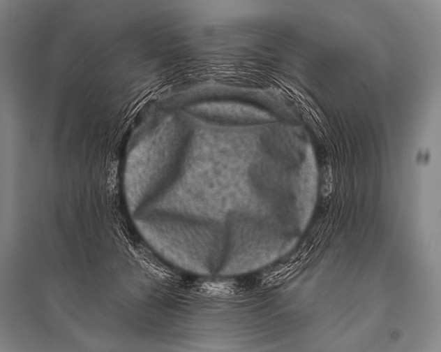 X0000094820560200712141647