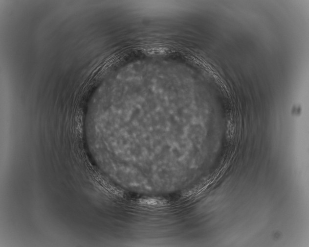 X0000094820561200712141647