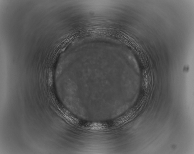 X0000094820562200712141647