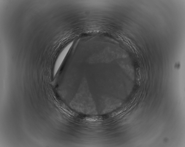 X0000094820563200712141647