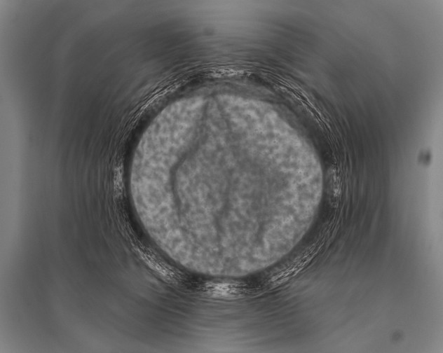 X0000094820564200712141647