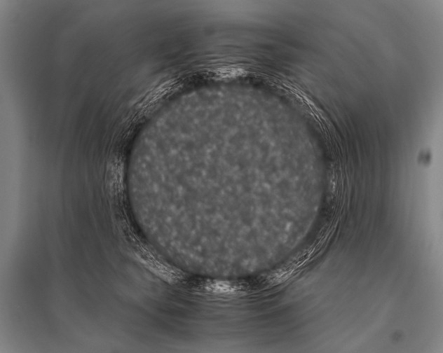 X0000094820565200712141647