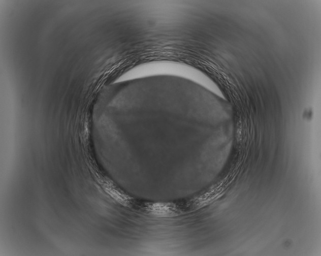 X0000094820566200712141647