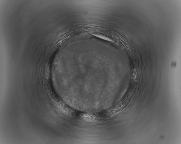 X0000094820568200712141647