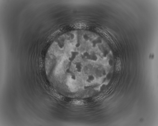 X0000094820569200712141647