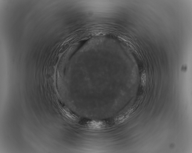 X0000094820570200712141647