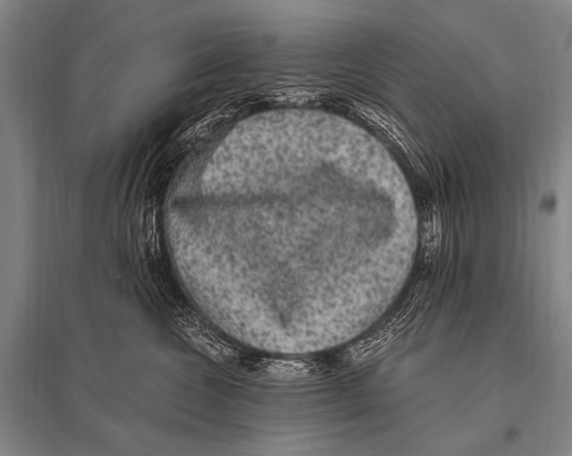 X0000094820572200712141647