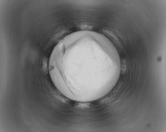 X0000094820573200712141647