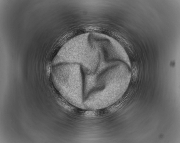 X0000094820574200712141647