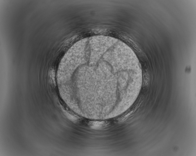 X0000094820575200712141647