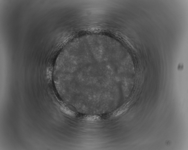 X0000094820576200712141647