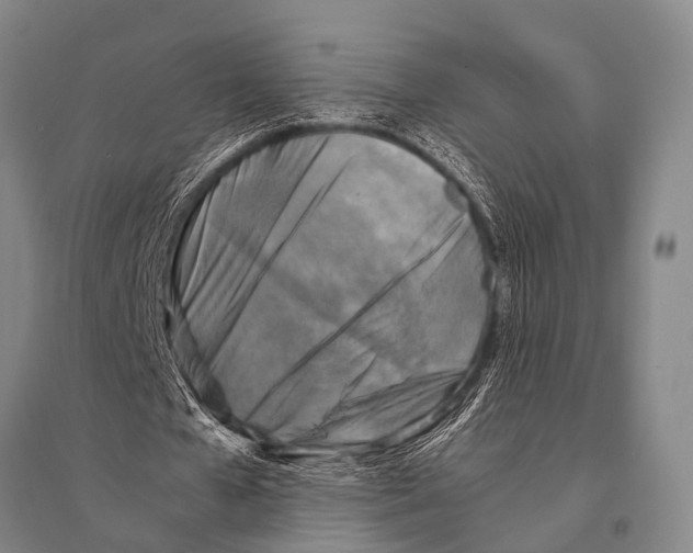 X0000094820577200712141647