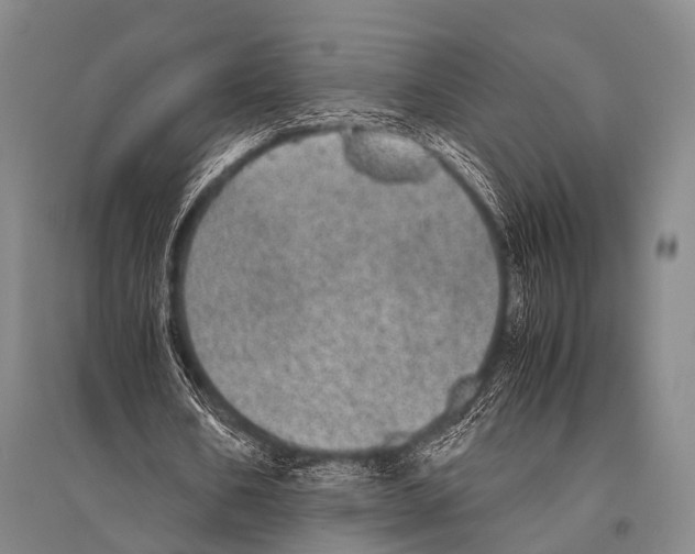 X0000094820578200712141647