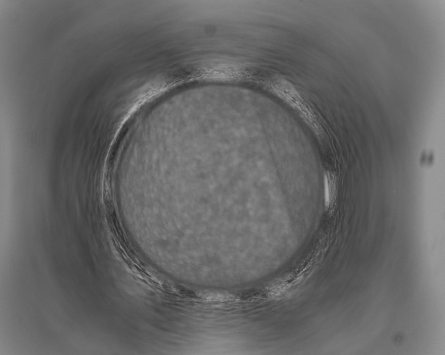 X0000094820579200712141647