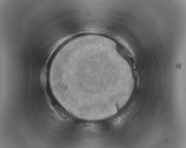 X0000094820580200712141647