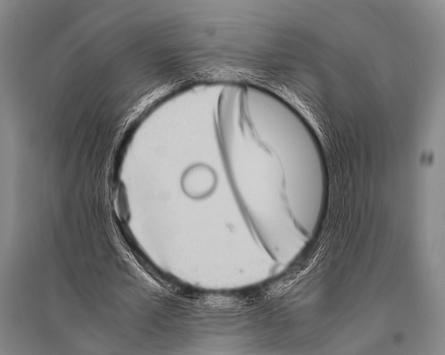 X0000094820581200712141647