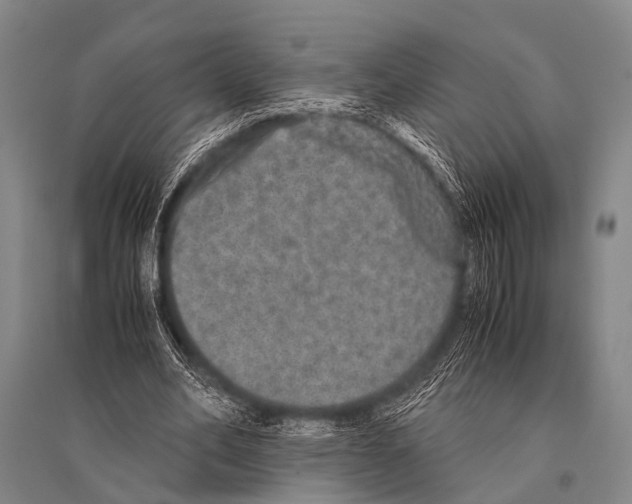 X0000094820582200712141647